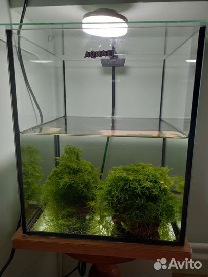 Аквариум