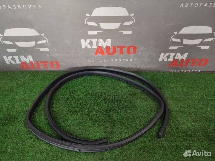 Уплотнитель задний правый(проём двери) Kia Rio 3