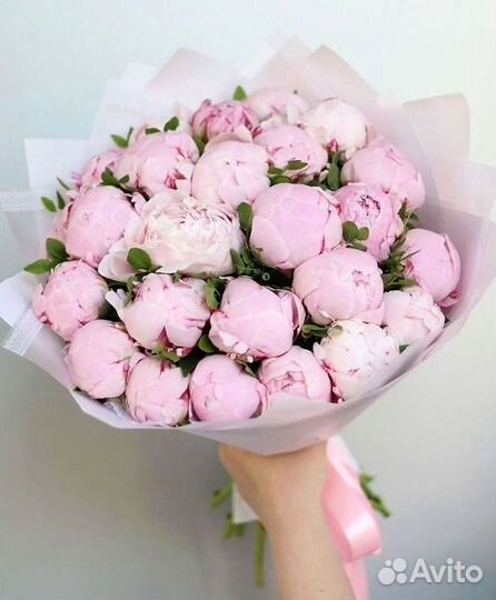 Пионы Цветы Доставка