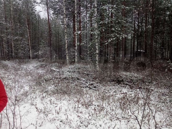 Участок 10 сот. (СНТ, ДНП)