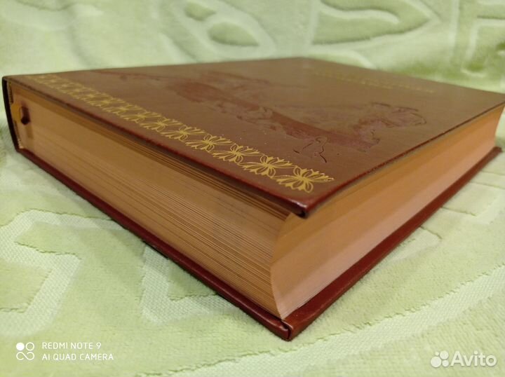 Божественная комедия, Верже кожа