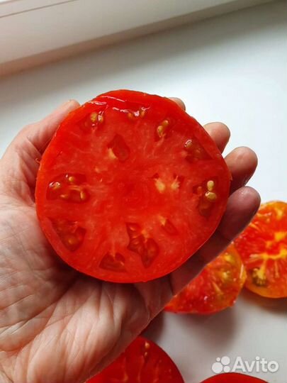 Семена коллекционных томатов