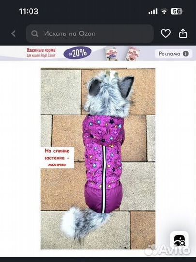 Комбинезон дождевик для собак размер L