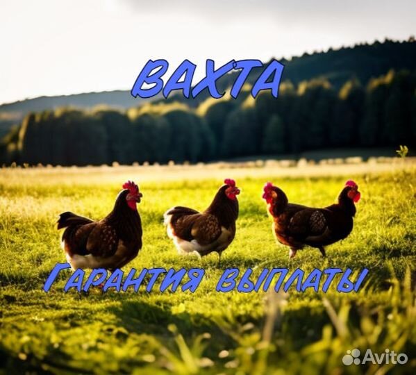 Рабочий на фабрику, вахта 35-35