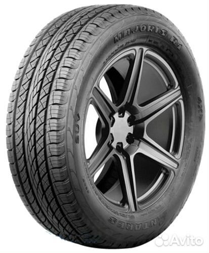 Antares Majoris R1 275/45 R20 110V