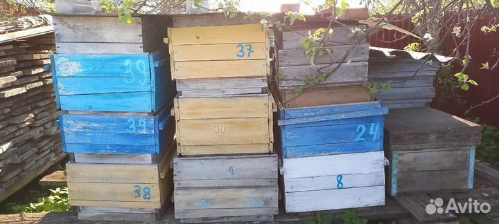 Продам 12 рамочные улья для пчел