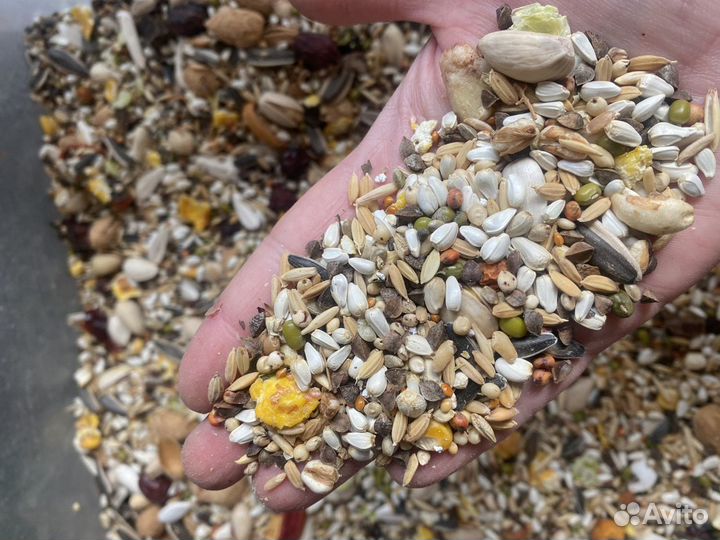 Корма для крупных/средних попугаев