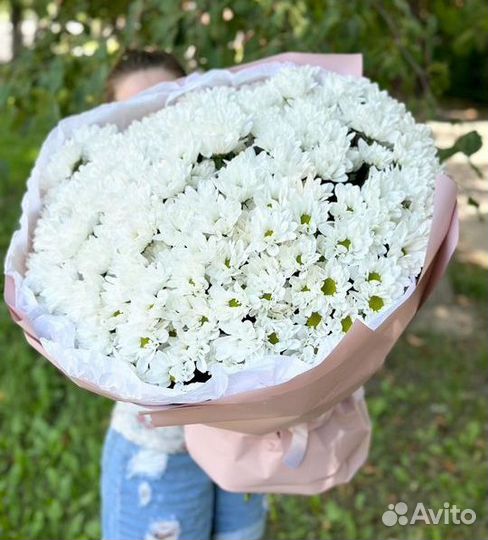 Букеты Цветы Хризантемы с доставкой