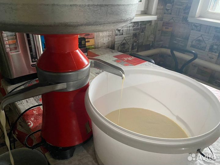 Молоко коза/корова, сливки, творог, сыры, масло