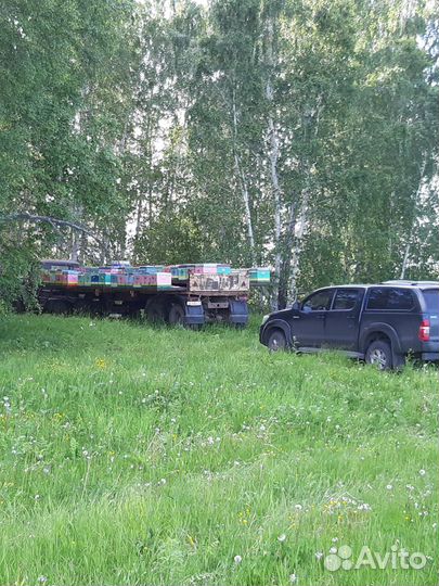 Мед от пчеловода пчелы пчелопакеты матки ульи