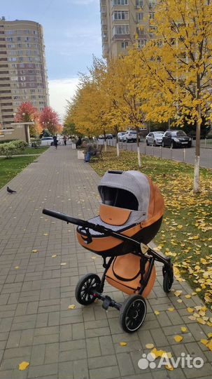 Коляска Anex sport 3 в 1