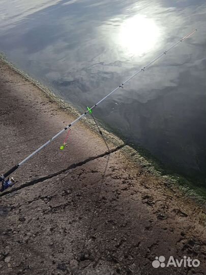 Донка кракадил бу