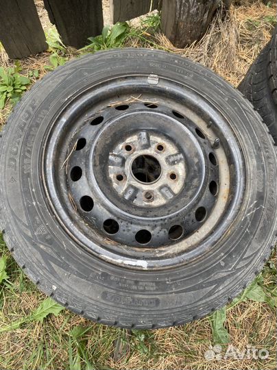 Dunlop Winter Maxx 165/70 R14