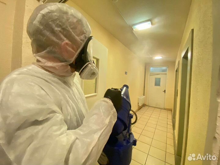 Уничтожение клопов, тараканов, ос, крыс, мышей