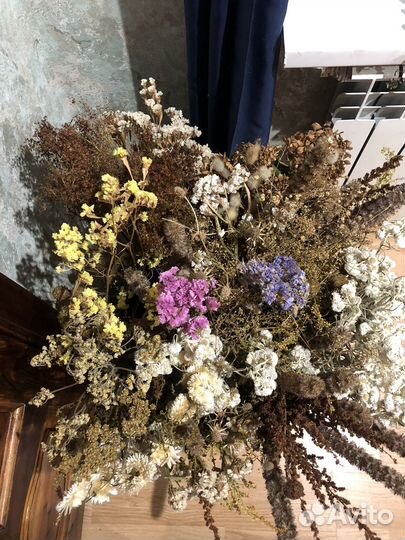 Сухие цветы