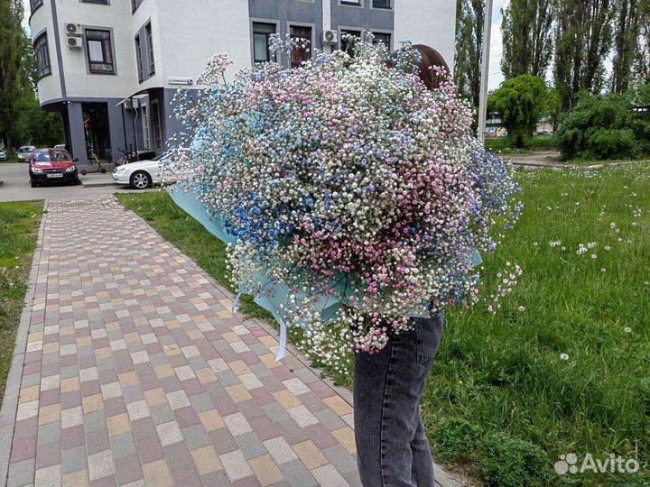 Гипсофила Букеты из гипсофил Доставка