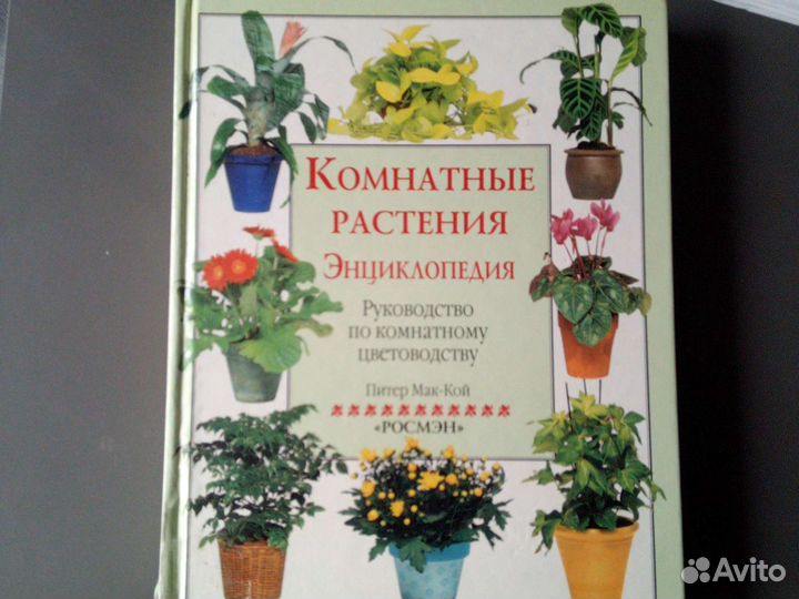 Комнатные растения