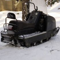 Буран живой