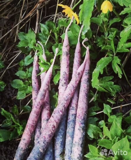 Гадание ясновидение,приворот обучение