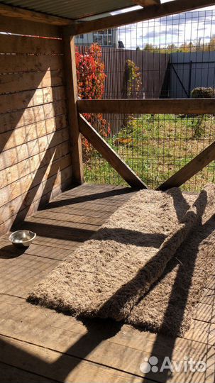 Вольер для собак