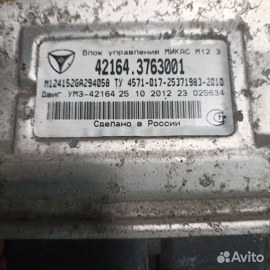 Мозги микас 12.3