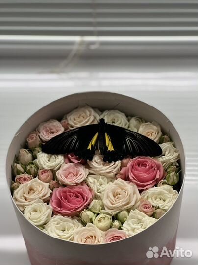 Цветы с живой бабочкой