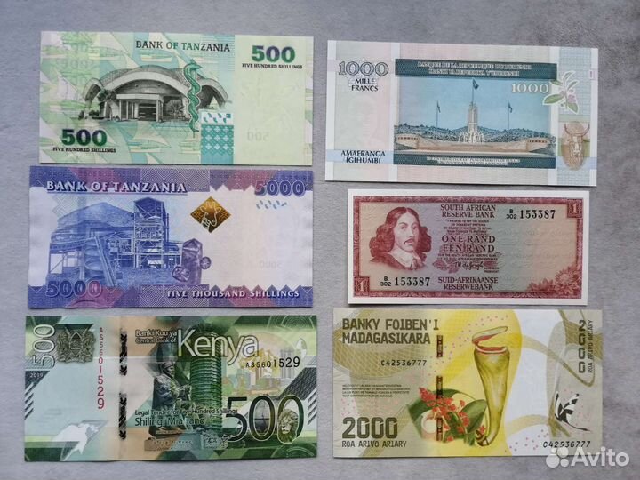 Африканские животные на банкнотах