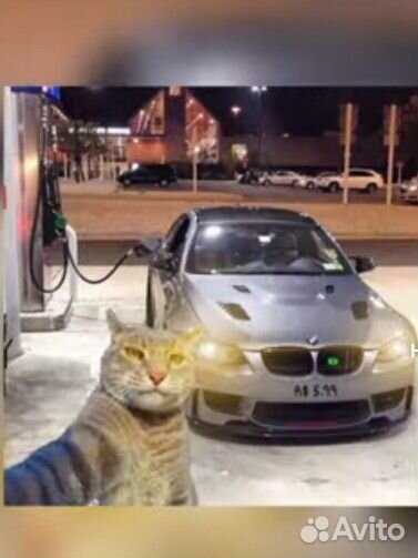 Тренер по standoff 2