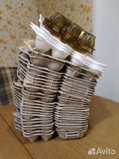 Ячейки для яиц