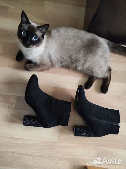 Обувь женская ботильоны