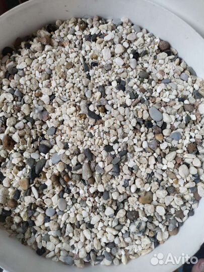 Аквариум с тумбой juwel 240