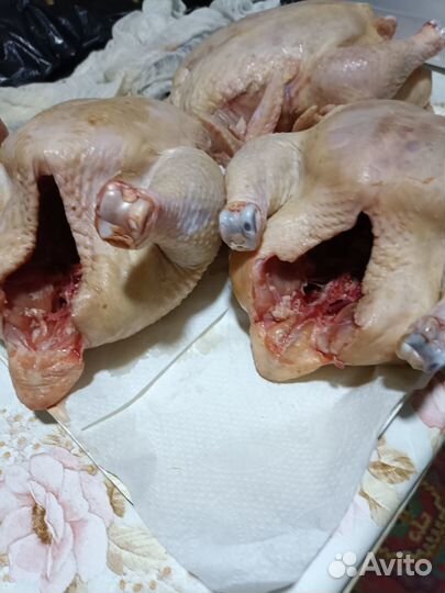 Домашние мясо