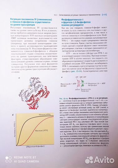 Основы Биохимии Ленинджера, 1-ый том