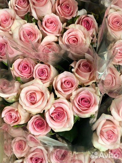 101 Роза букеты тюльпаны цветы