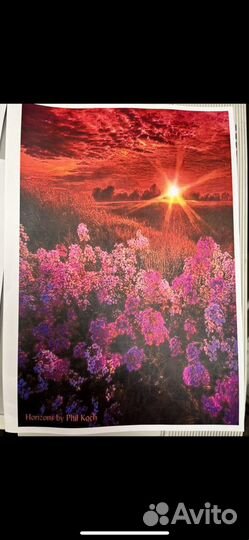 Xerox WorkCentre 7428 цветное SRA3+