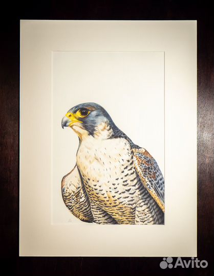 Авторские принты жикле акварелей Кастальского Д