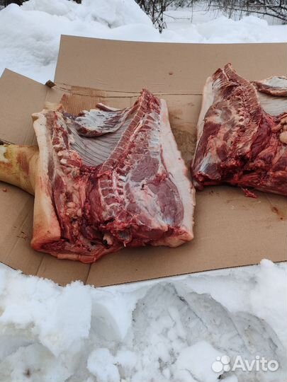 Мясо свинина домашняя,поросята для вертела