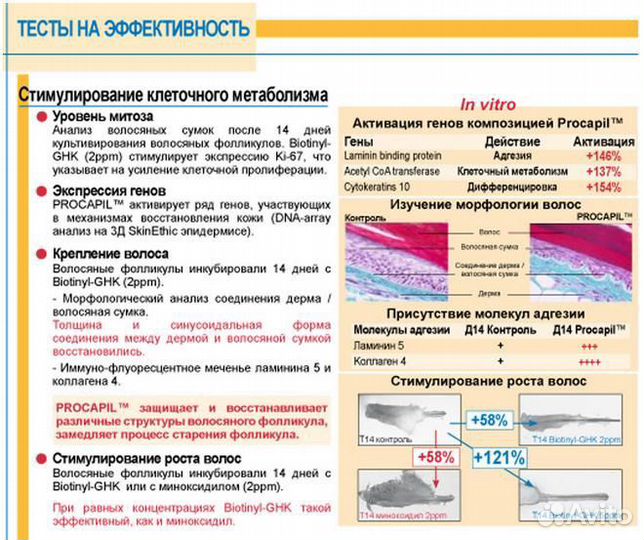 Procapil (Прокапил)