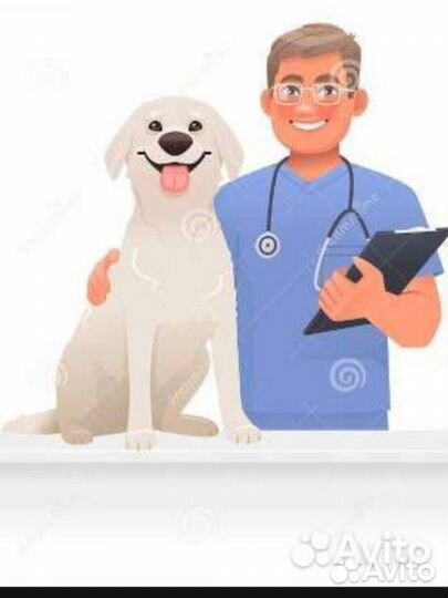 Ветеринарный врач на дом