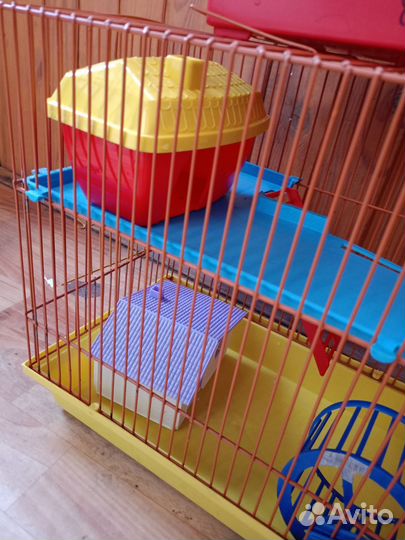2 клетки для грызунов и поводок для крысы