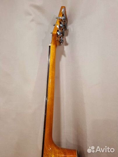 Акустическая гитара Martinez