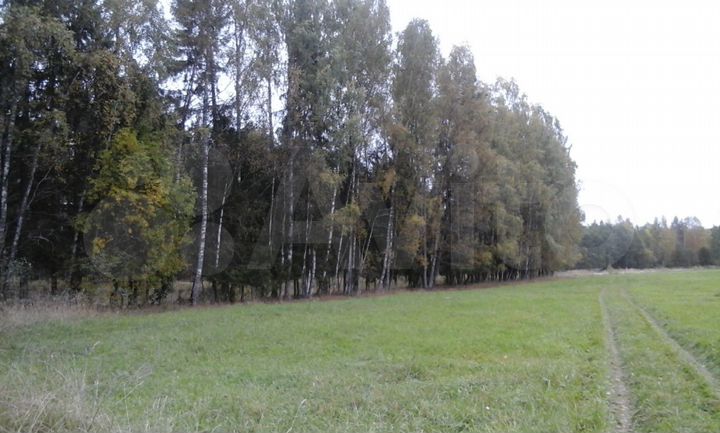 Участок 2,4 га (СНТ, ДНП)
