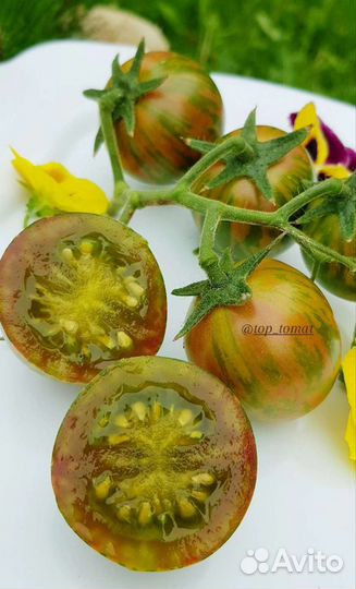 Рассада томатов