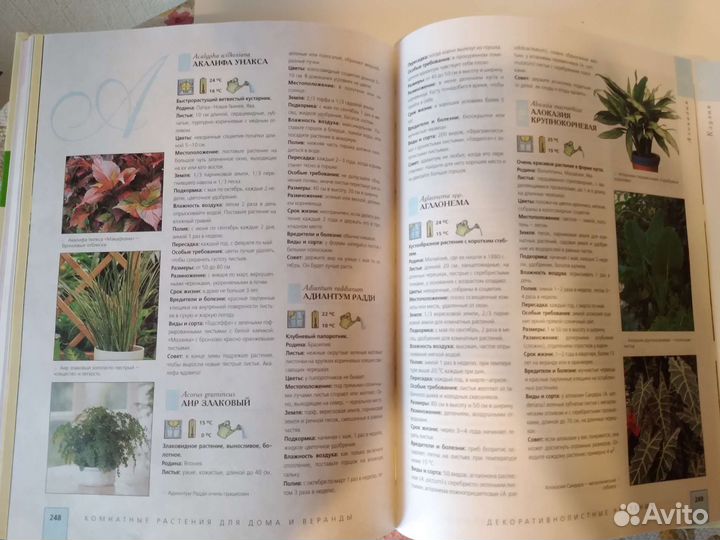Книга Комнатные растения Новая