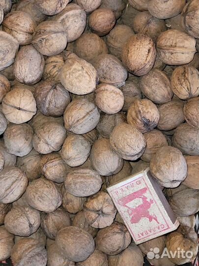 Орех грецкий