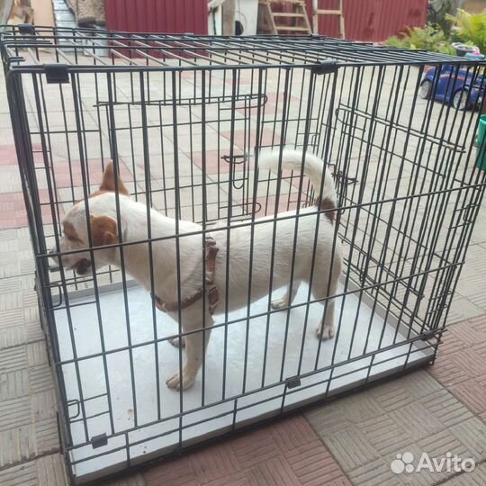 Клетка вольер для собак