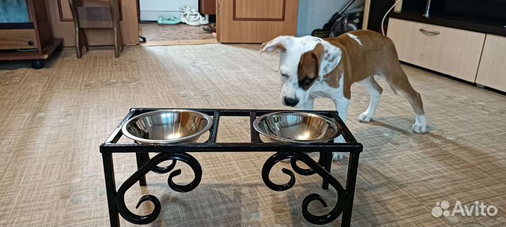 Подставка для мисок+миски