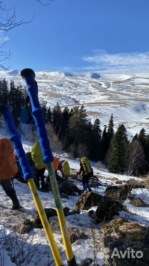 Палки для скандинавской ходьбы