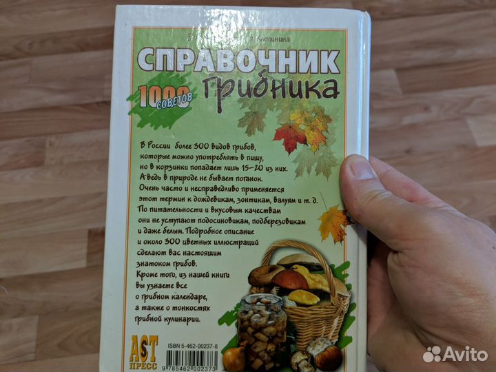 Справочник грибника