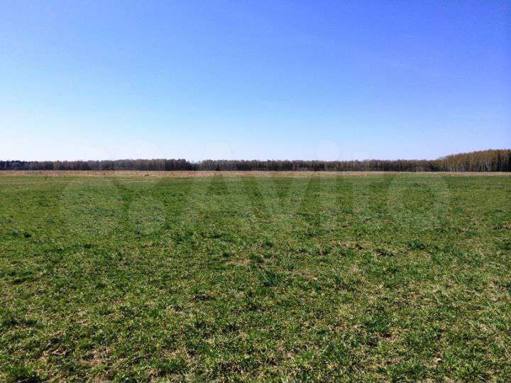 Участок 11 га (СНТ, ДНП)